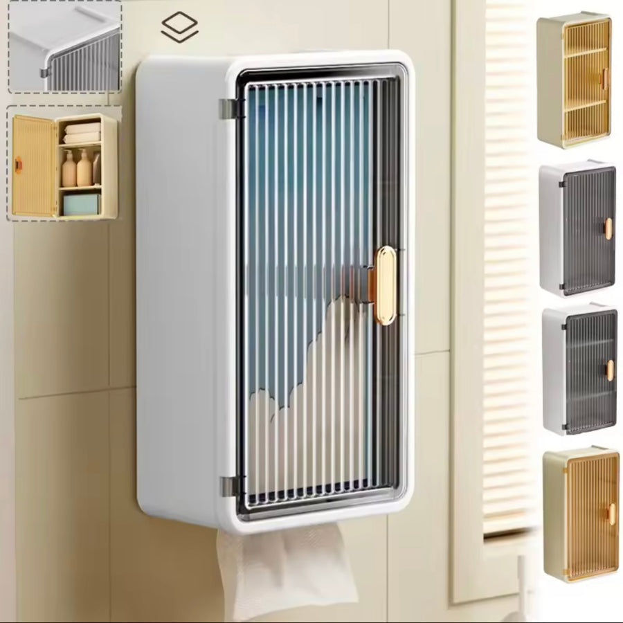 Wall Mounted Bathroom Shelf With Tissue Holder