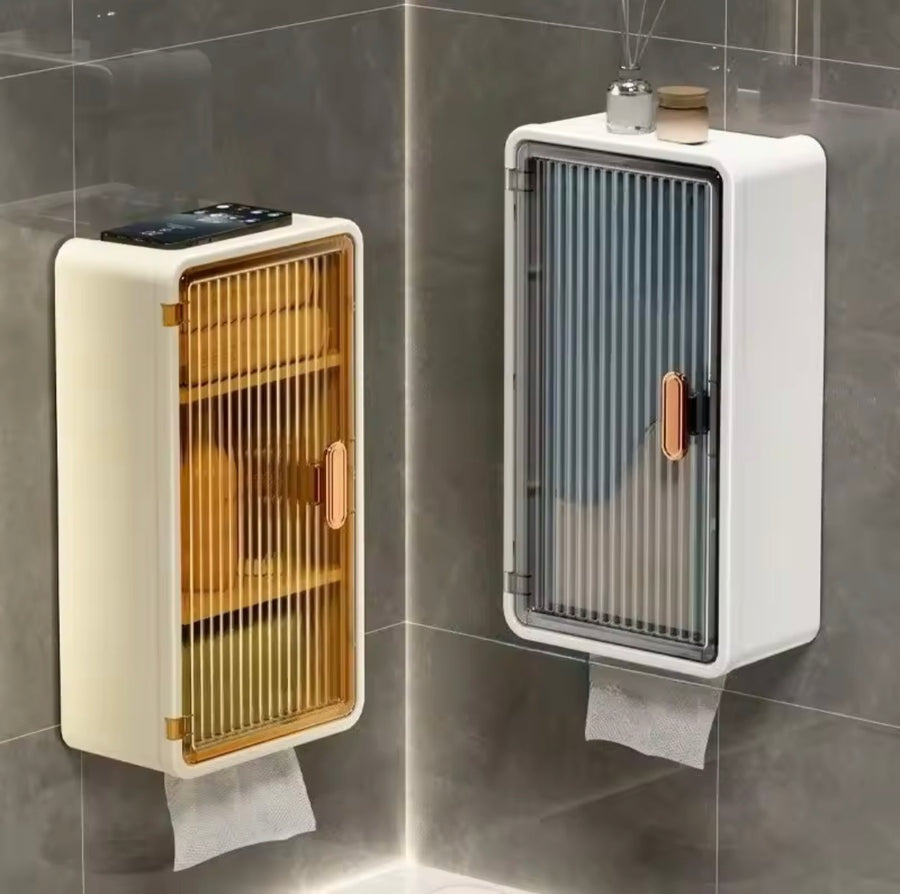 Wall Mounted Bathroom Shelf With Tissue Holder